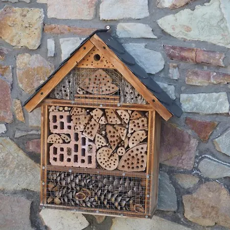 Sonneninsel - Minheim