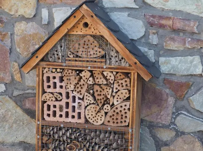 Sonneninsel - مينهايم